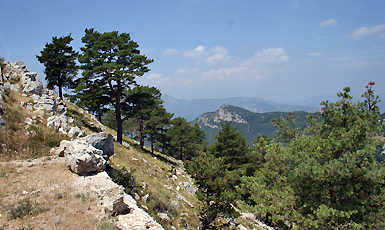 Santuari de la Mare de Déu del Mont, Albanyà